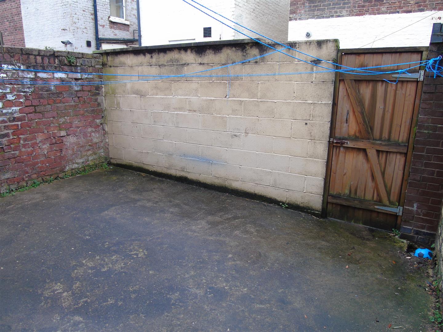 Rear Yard